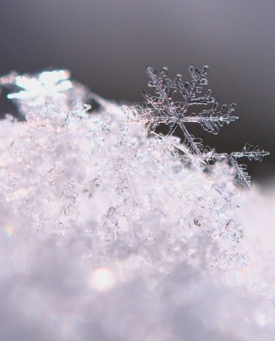 snowflake crystal