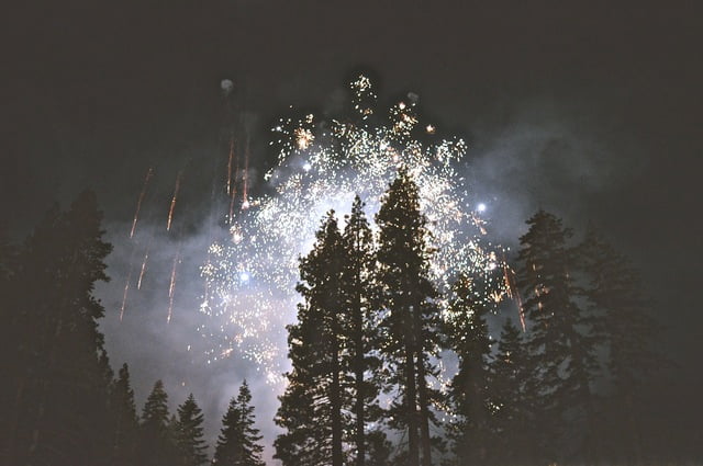 Fireworks at night