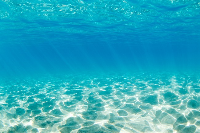 sea floor seen from underwater