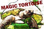 magictortoise.jpg