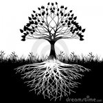 tree-roots-silhouette-18580002.jpg
