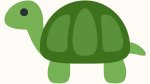 very-large-turtle.JPG