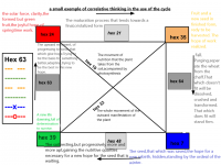 Hexagram cycle with correlative thinking_hex 63.png