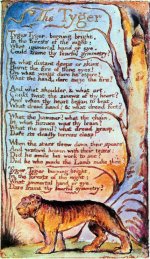 The-Tyger-William-Blake-illustration.jpg