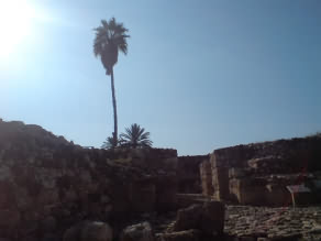 The ruined city at Megido