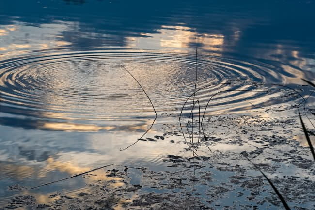 reflections and concentric ripples in water's surface