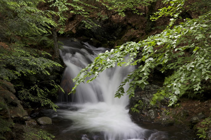 stream under mountain