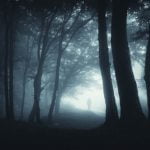 Shadowy figure in misty forest