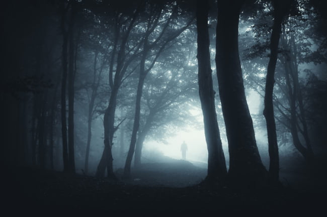 Shadowy figure in misty forest