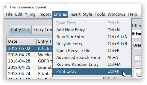 print option in menu