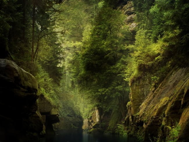 river flows through deep, dark forest