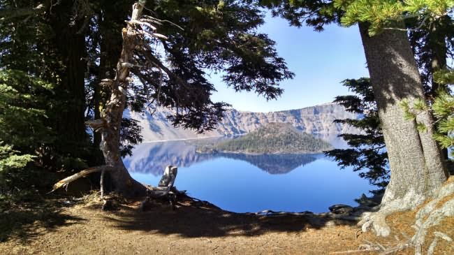 crater lake with shady trees