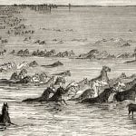 1867 illustration of horses fording the Volga