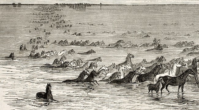 1867 illustration of horses fording the Volga