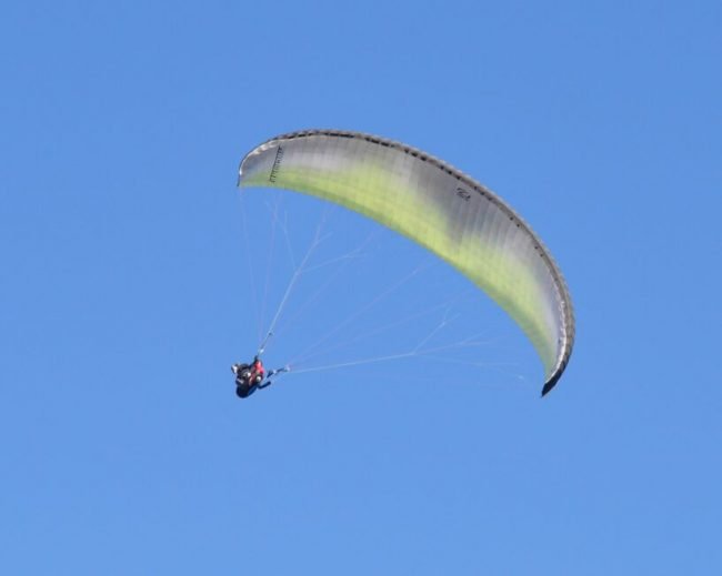 paraglider