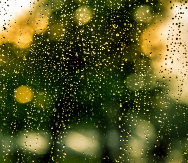 Rain on a window
