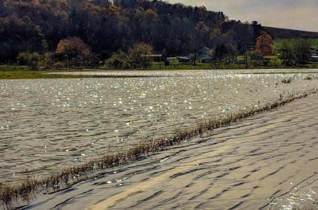 flooded fields