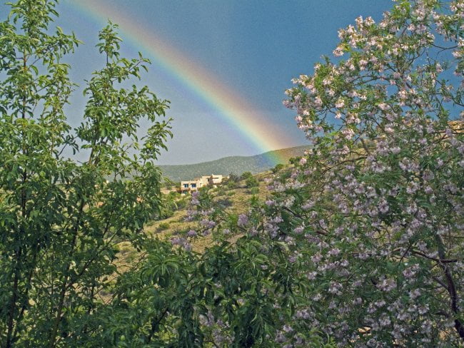 spring rainbow