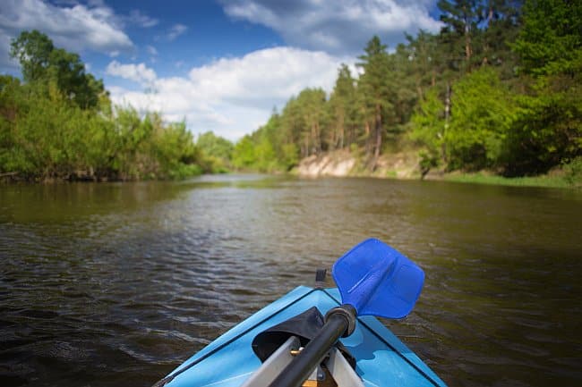 kayak on the river