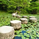 stepping stones across a pond