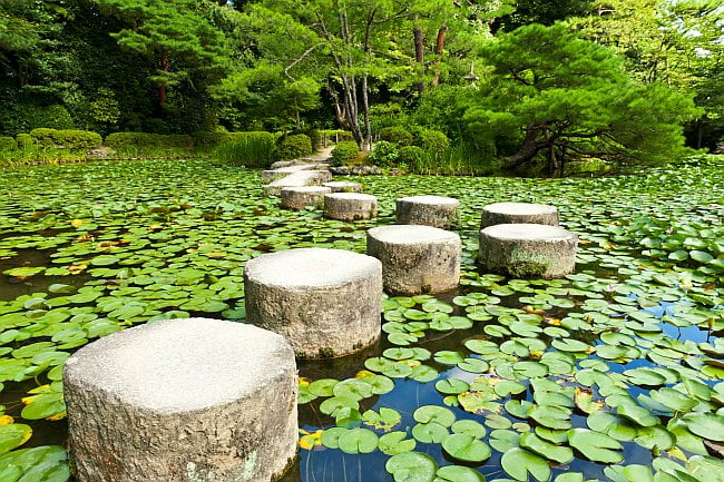 stepping stones across a pond
