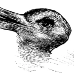 duck-rabbit