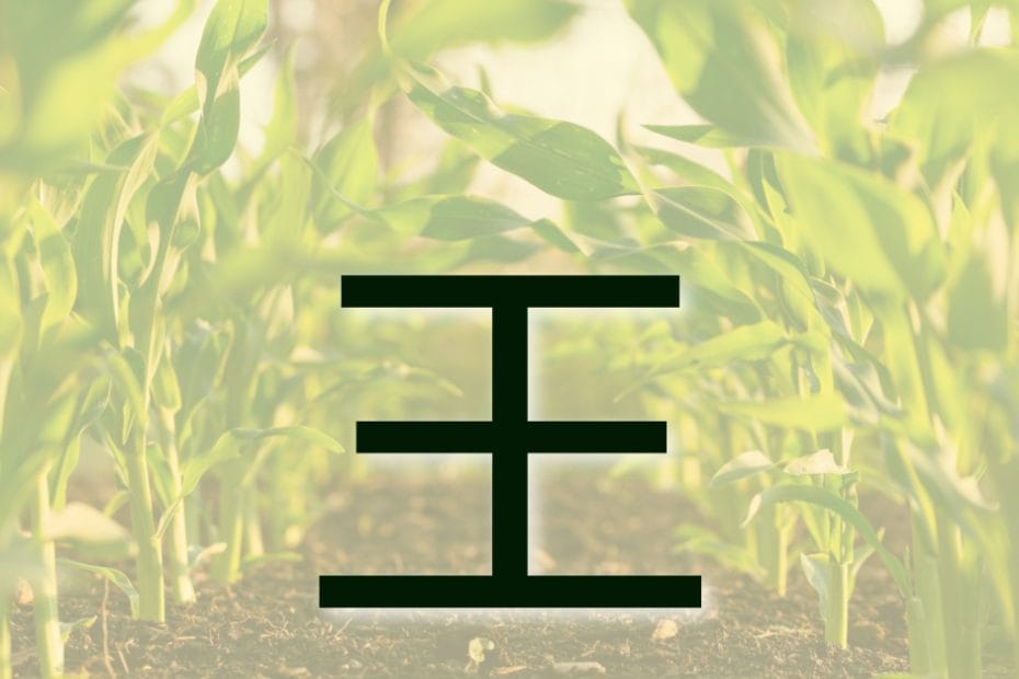 Chinese character 'wang', meaning 'king'.