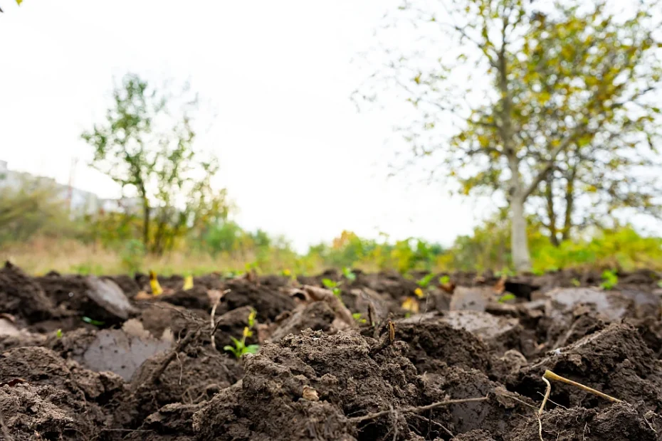 turned soil ready for planting