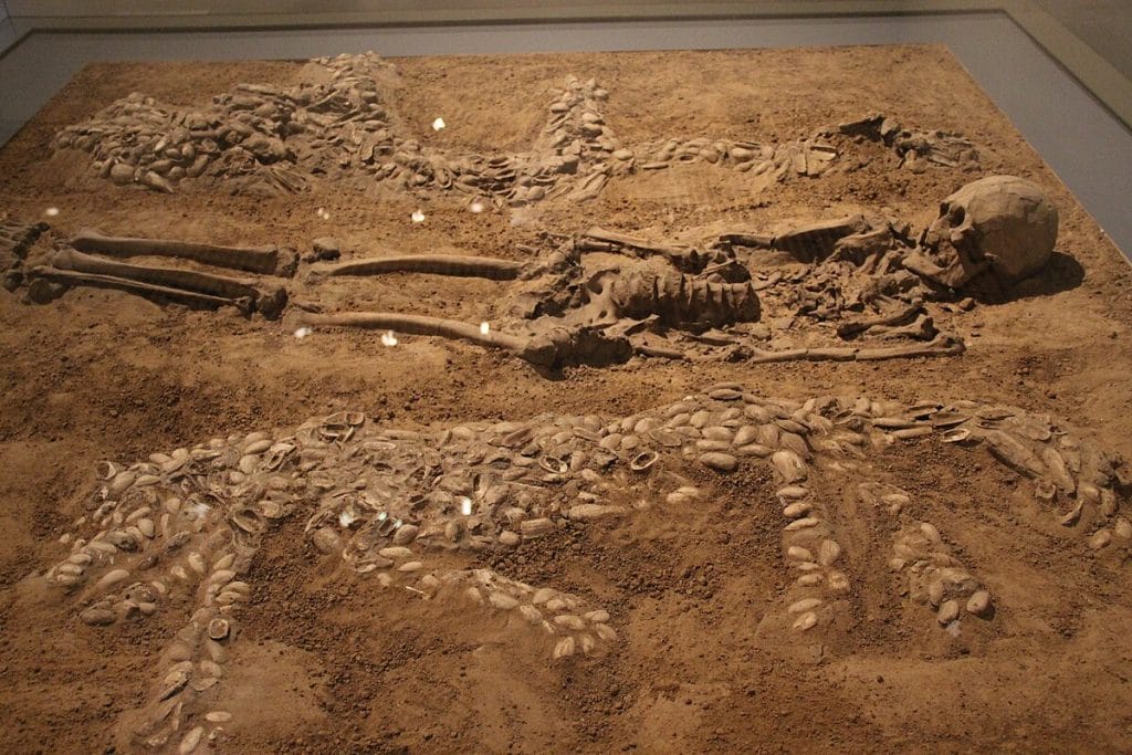 The Puyang dragon burial