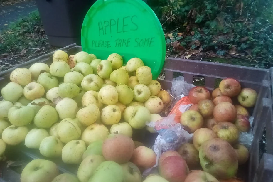Sign reading 'Apples - please take some' on a table covered with apples.