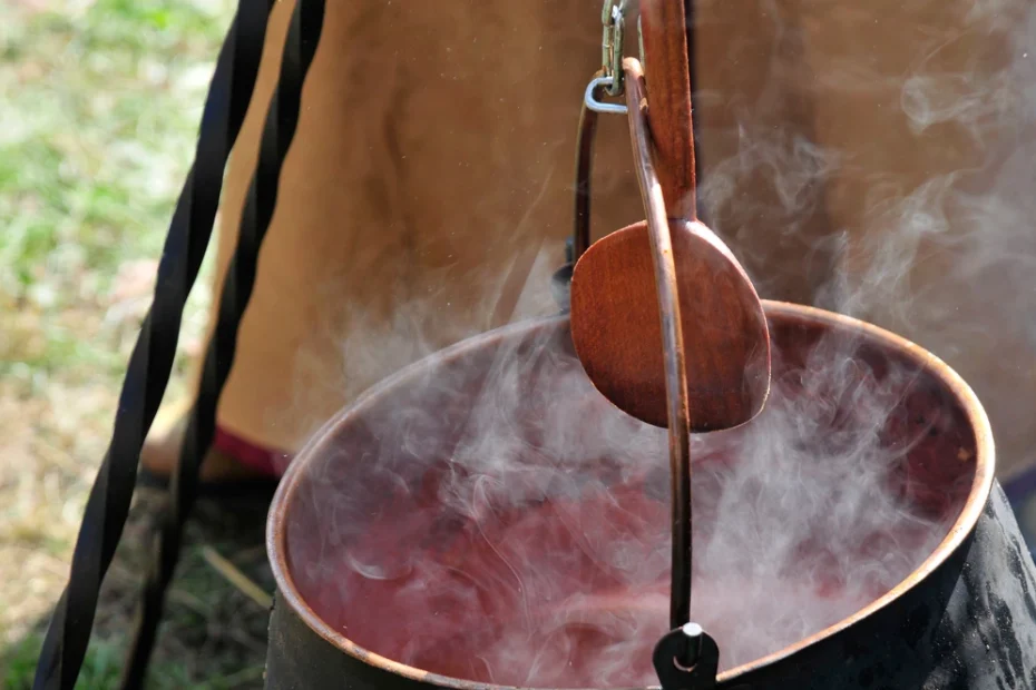 steaming stew in a pot on the fire