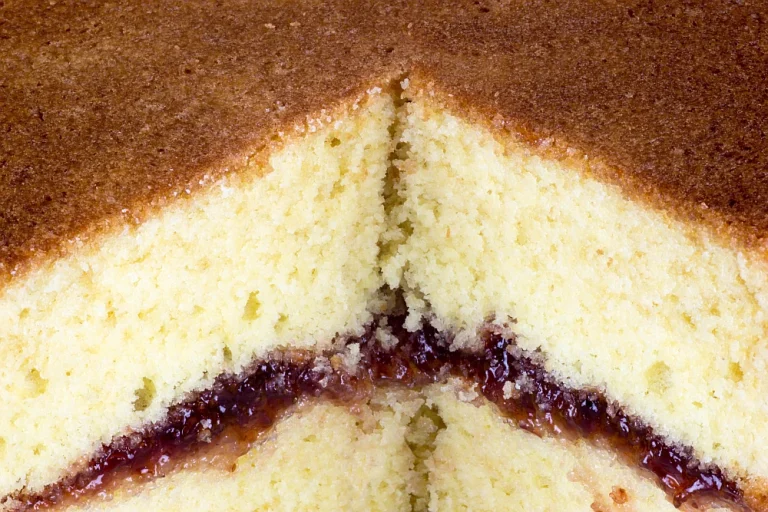 sponge cake close-up
